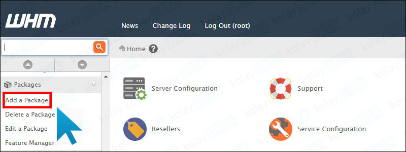 WHM Hosting Paketi Oluşturma