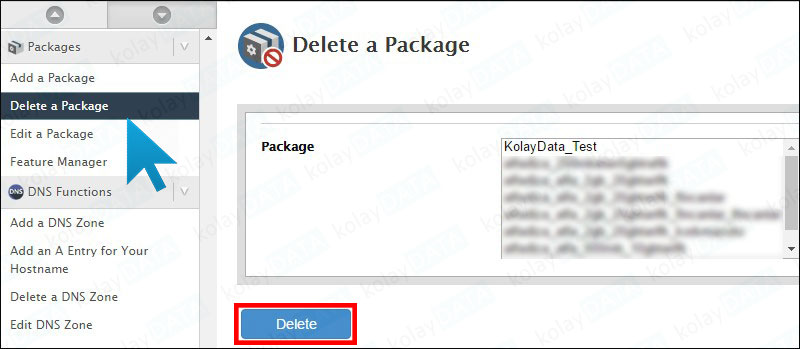 WHM Hosting Paketi Oluşturma