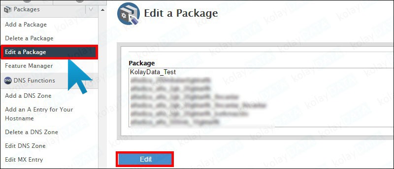 WHM Hosting Paketi Oluşturma