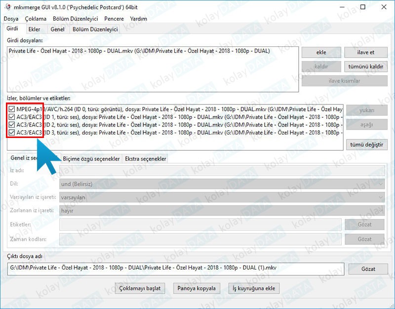 Filme Altyazı Ekleme (Gömme) Nasıl Yapılır? Filme Altyazı Ekleme