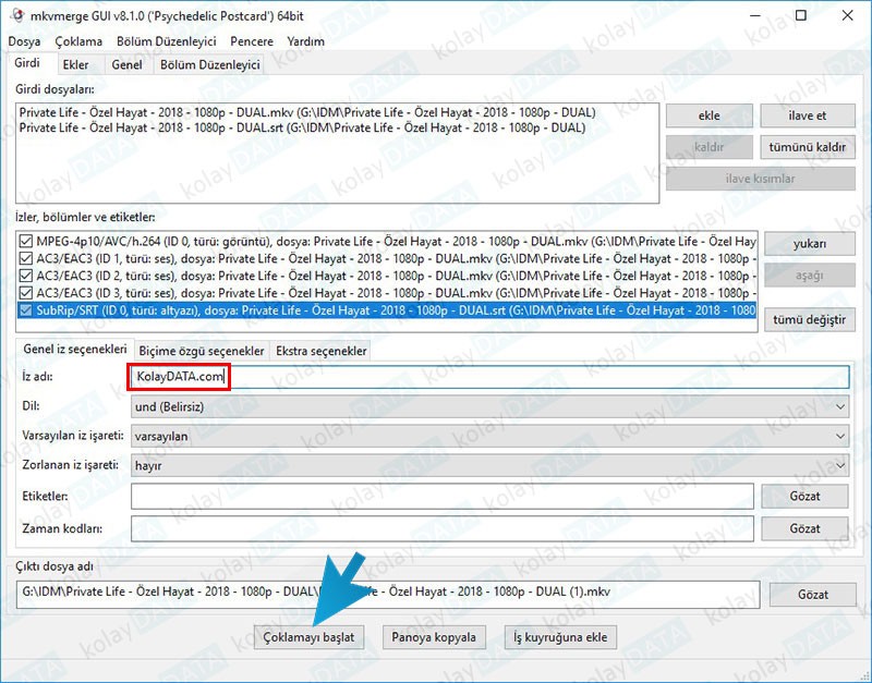 Filme Altyazı Ekleme (Gömme) Nasıl Yapılır? Filme Altyazı Ekleme