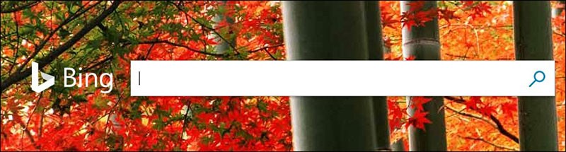 En Çok Kullanılan Arama Motorları