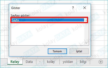 EXCEL'de Sayfaları Gizlemek