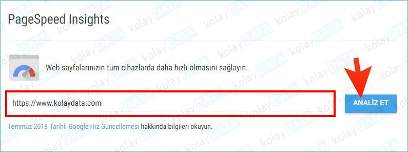 PageSpeed Kullanımı