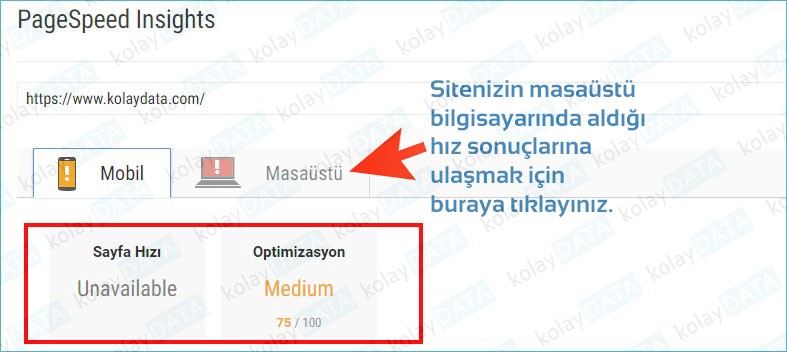 PageSpeed Kullanımı