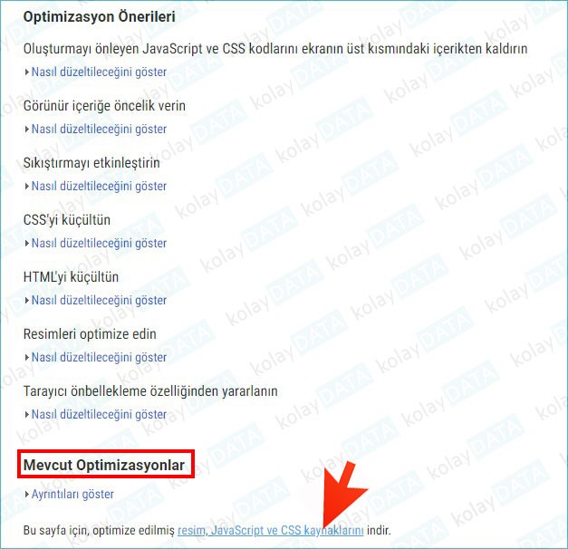 PageSpeed Kullanımı