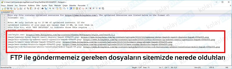 PageSpeed Kullanımı