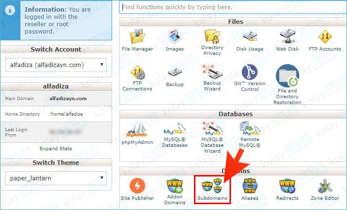 Subdomain (Alt Alan Adı) Nedir? Nasıl Oluşturulur
