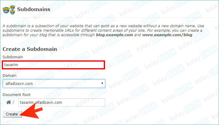 Subdomain (Alt Alan Adı) Nedir? Nasıl Oluşturulur