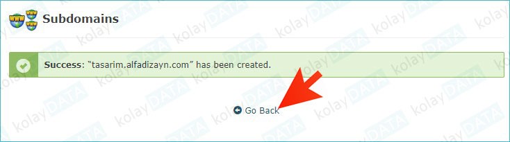 Subdomain (Alt Alan Adı) Nedir? Nasıl Oluşturulur