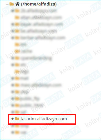 Subdomain (Alt Alan Adı) Nedir? Nasıl Oluşturulur