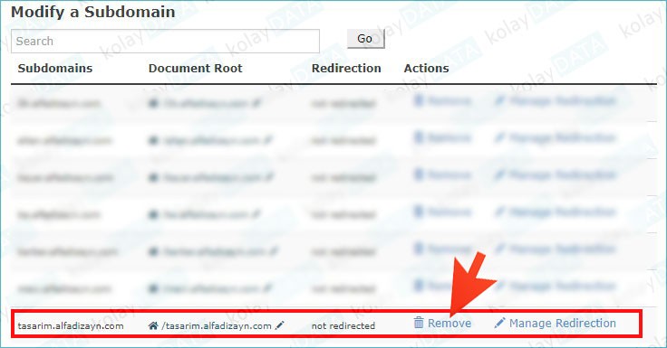 Subdomain (Alt Alan Adı) Nedir? Nasıl Oluşturulur