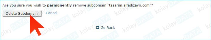 Subdomain (Alt Alan Adı) Nedir? Nasıl Oluşturulur
