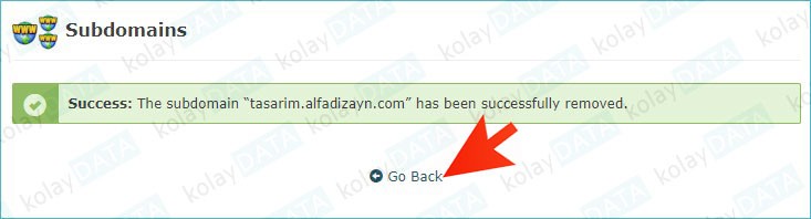 Subdomain (Alt Alan Adı) Nedir? Nasıl Oluşturulur