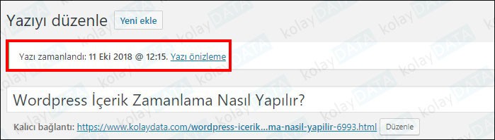 Wordpress İçerik Yazı Zamanlama