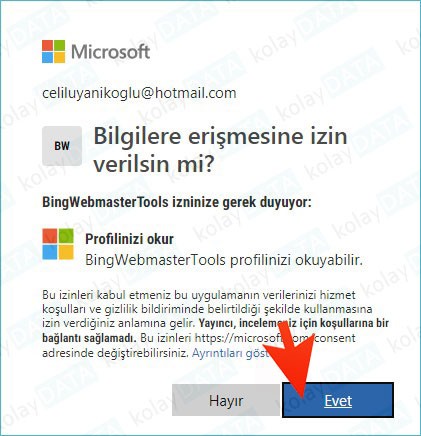 bing site yönetim araçları
