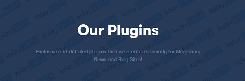 Gelmiş Geçmiş En İyi WordPress Teması - Publisher İnceleme