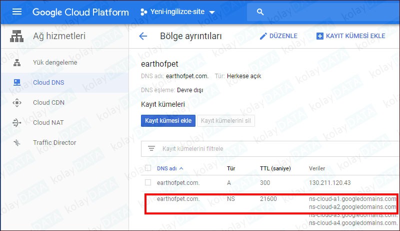 Google Cloud DNS Ayarı Nasıl Yapılır? Google Cloud DNS Ayarı