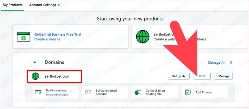 Google Cloud DNS Ayarı Nasıl Yapılır? GoDaddy DNS Değiştirme